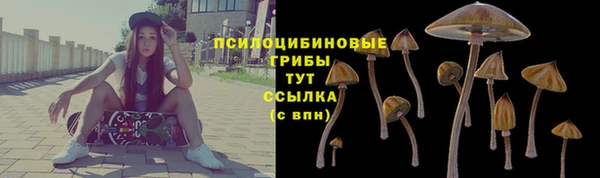 ГАЛЛЮЦИНОГЕННЫЕ ГРИБЫ Балабаново