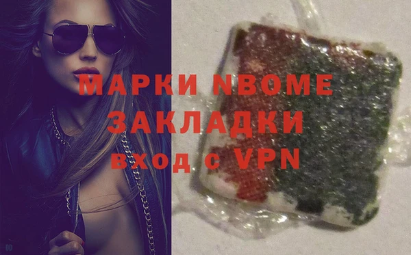 прущие грибы Аркадак