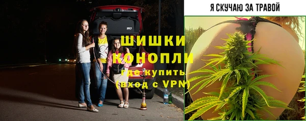 ГАЛЛЮЦИНОГЕННЫЕ ГРИБЫ Балабаново