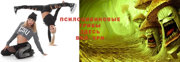 ГАЛЛЮЦИНОГЕННЫЕ ГРИБЫ Балабаново