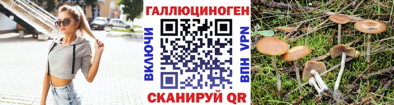 Галлюциногенные грибы Magic Shrooms Судак